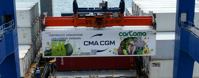 EXPORTADOR COLOMBIANO DE AGUACATE HASS SACA SU CONTEDOR 5.000 POR EL PUERTO DE CARTAGENA